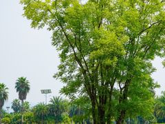 -云里小坐·海泉湾·团建·宴席·下午茶(金堂海泉湾店)