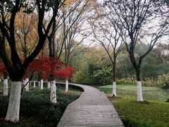 -昆山城市生态森林公园