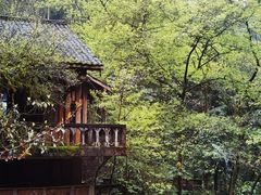 -碧峰峡风景区