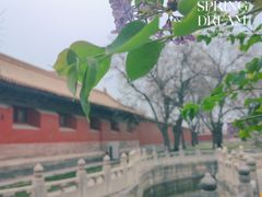 -故宫博物院(故宫)
