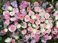 -朝来春花卉市场