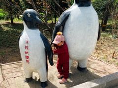 -石家庄市动物园