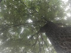 -洛阳白云山景区