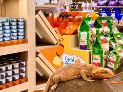 -帕帕拉兹宠物(亚洲旗舰店)