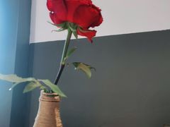 -新贝乐意大利餐厅(苏州中心店)