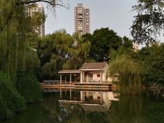 -西苑公园