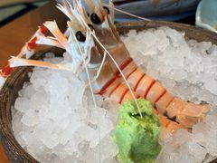 -月龍吟(朝龙汇店)