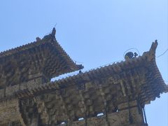 -北陵公园
