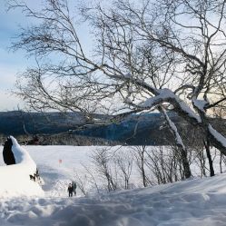 -大秃顶子山