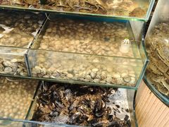 -仙螺岛海鲜自助餐厅(总店)
