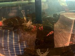 -海立阁海鲜江浙菜(漕河泾印象城店)