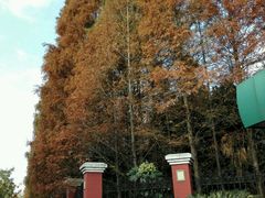 -复旦大学正大集团体育馆