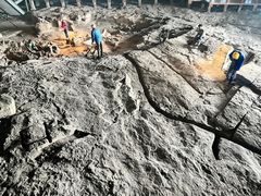 -自贡恐龙博物馆