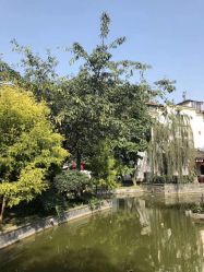 -莲生母婴月子中心(清水河公园店)