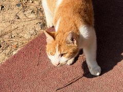 -敬亭山风景名胜区