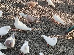 -鼓楼(西湖风景名胜区)
