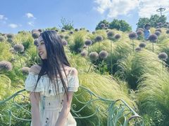 -嘉北郊野公园