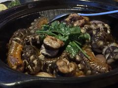 -人间酒暖·Go blanc·烧鸟·深夜食堂(陆家嘴店)