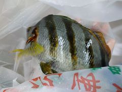 -蛇口市场