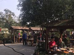 -青城甲(青城山店)