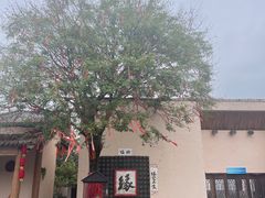 -国际非物质文化遗产博览园