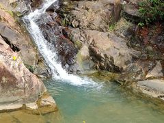 -广州白江湖森林公园