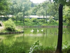 -沈阳森林动物园