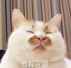 -东瀛造型