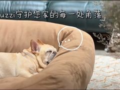 -红星美凯龙(苏州全球家居1号店)