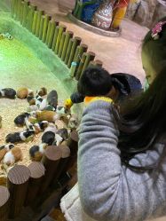 -宝燕乐园(闵行旗舰店)