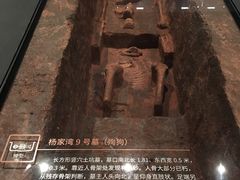 -盘龙城国家考古遗址公园