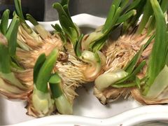 -双季花艺园艺市场(浦东店)