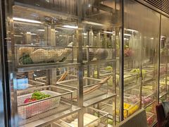 -马哥孛罗咖啡厅·Cafe Marco (厦门马哥孛罗东方大酒店)