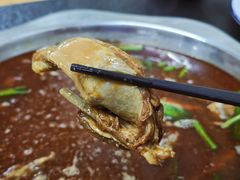 -新乡杨记红焖羊肉火锅(天坛南门店)