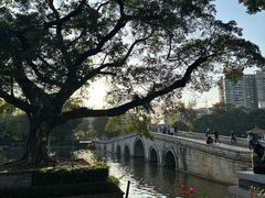 -荔湾湖公园