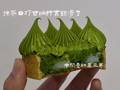 -猫里有甜