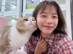 -青奢宠物·青奢猫舍