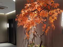 -荷塘秋月·本帮江浙菜(国权路店)