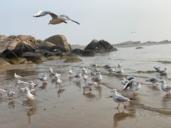 -老虎石海上公园