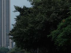 -狐尾山公园