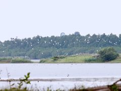 -大湾区中央湿地公园