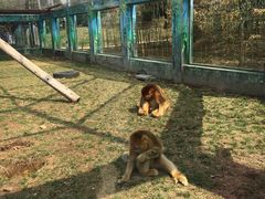 -西安秦岭野生动物园