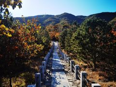 -北京西山国家森林公园