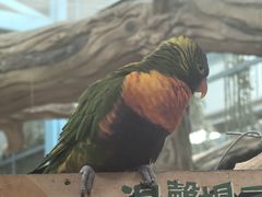 -石家庄市动物园