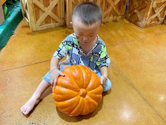 -郑州方特梦幻王国