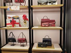 -COACH蔻驰(双安商场店)