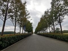 -嘉北郊野公园