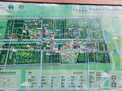 -黄海国家森林公园