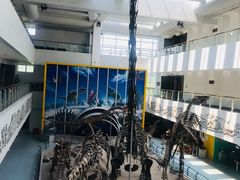 -中国地质大学逸夫博物馆