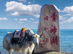 -青海湖国家重点风景名胜区